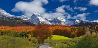 Ridley Scott gira un kolossal nella foresta del Cansiglio. Zanoni (EV): “Giunta regionale calpesta le norme europee di protezione ambientale” Ridley Scott Cansiglio