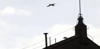 Conclave oggi al via, gli occhi del mondo puntati sul comignolo della Sistina conclave