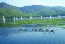 Allarme lago di Fimon. Gonzo: “Se non interveniamo rischiamo di perderlo”. Formaggio “Il turismo lo può salvare” lago di Fimon