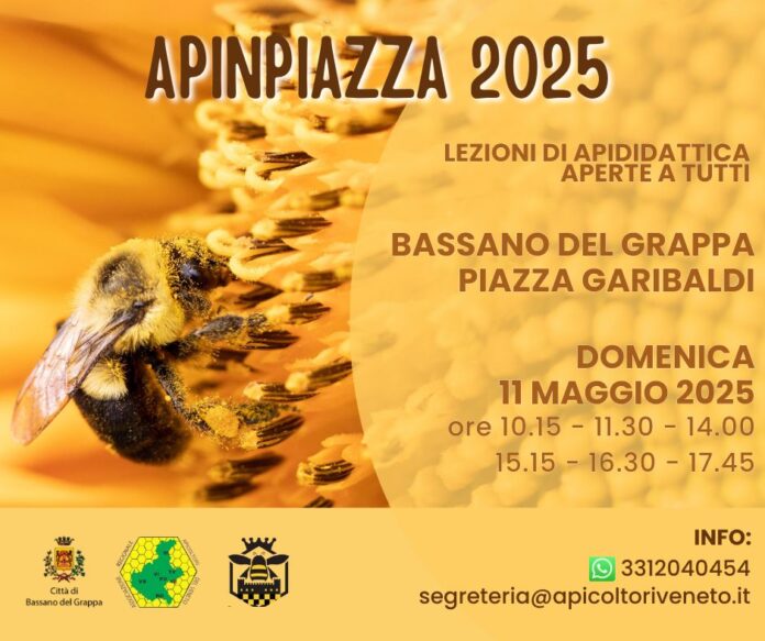locandina apinpiazza