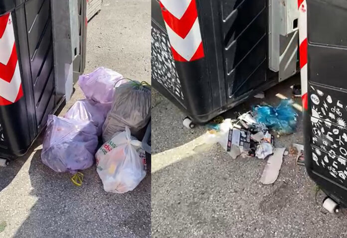 lusiana conco rifiuti abbandonati lusiana conco rifiuti fuori dai cassonetti