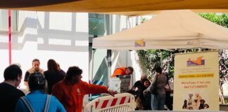 A Palermo microchippatura gratuita per cani e gatti, l’appuntamento al Centro Guadagna