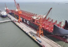 dazi usa cina
