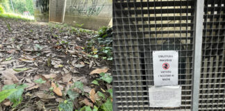 Parco giochi di via Adenauer a Vicenza, è allarme degrado: erba alta, giostrine arrugginite, cancelli pericolosi e bagni ko Parco giochi di via adenauer degrado