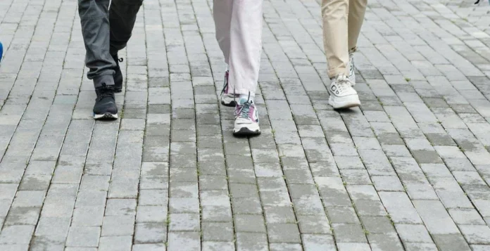 progetto scuole mobilita sostenibile progetto Scuol@bis per la mobilità sostenibile andando a scuola