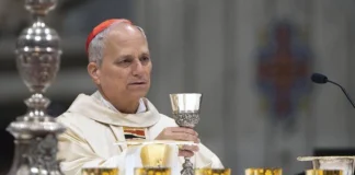 Conclave, tra i ‘papabili’ favoriti sale Robert Francis Prevost: chi è il cardinale statunitense Prevost