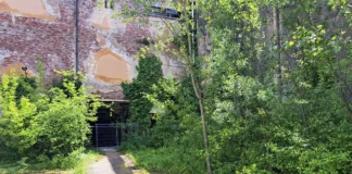 Bosco Lanerossi risparmiato dal cantiere Tav, la soddisfazione dell’on. Guarda: “Premiato l’impegno dei cittadini” Bosco Lanerossi