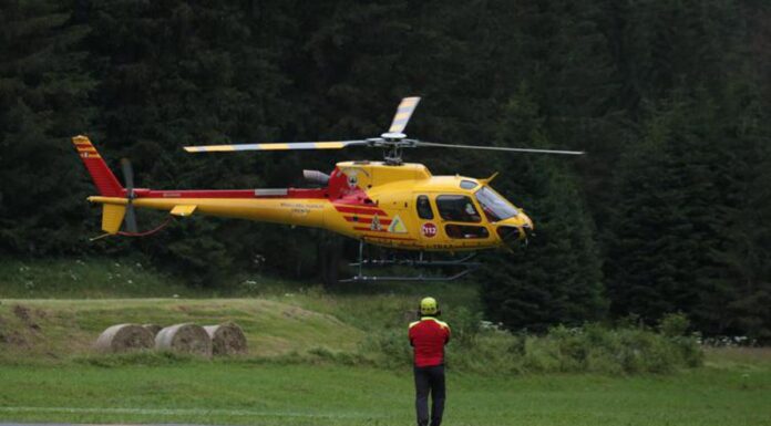 Coppia dispersa in montagna tra Friuli Venezia Giulia e Veneto: ricerche sugli Spalti di Toro