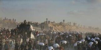 Gaza, media: “Uccisi 9 palestinesi in coda per gli aiuti”