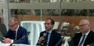 Gemmato: “Prima insulina settimanale gratuita successo di ecosistema efficiente