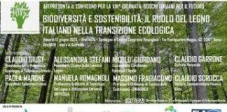 Il ruolo legno italiano in transizione ecologica, tavola rotonda con Afi e Assolegno