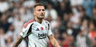 Immobile, ritorno in Serie A? Il Bologna prova il colpo in attacco