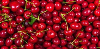 La ciliegia e le qualità ‘nascoste’, Calabrese: “Anche il gambo fa bene”
