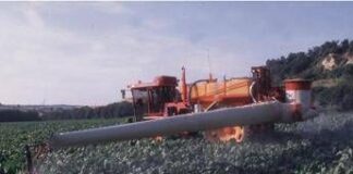 Medici Isde, ‘glifosato tossico ma ancora usato in parchi e giardini scuole’