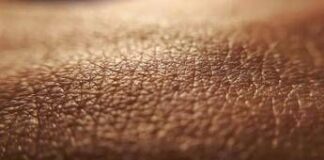 Medici ambiente, ‘aumenta età biologica organismo e la pelle è più a rischio’