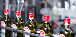 Olio: Coricelli, fatturato record di 415 milioni nel 2024, +25%