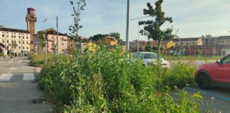 Parcheggi di Vicenza: Colombara (Per una Grande Vicenza) interroga la maggioranza sull’incuria di GPS parcheggi Vicenza GPS