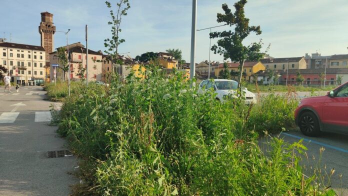Park Cattaneo (3) parcheggi Vicenza GPS