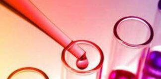 Patologie lisosomiali, assegnate le borse di ricerca ‘Find For Rare’