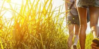 Progetto DoiMan, in Val di Sole un concorso per i turisti più gentili
