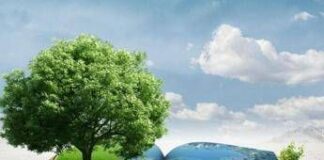 Raccontare le sfide ecologiche, i finalisti del Premio Demetra