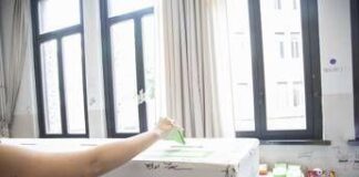 Referendum, affluenza ore 12: in Italia al 7,4%, a Vicenza al 9,1%. Oggi urne aperte fino alle 23