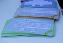 Referendum, i Civici per Vicenza invitano al voto: “È un diritto costituzionale ma anche un dovere. Grave l’invito all’astensionismo” referendum l'invito a votare