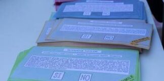 Referendum, i Civici per Vicenza invitano al voto: “È un diritto costituzionale ma anche un dovere. Grave l’invito all’astensionismo” referendum l'invito a votare