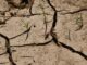 Siccità in Veneto, fiumi in forte sofferenza rispetto alla media. Regione: “Difendere acqua potabile e agricoltura” siccità veneto