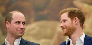 “William e Harry litigavano per le faccende domestiche”: la rivelazione