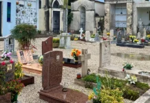 Vicenza, chiusure dei cimiteri per interventi di diserbo da giovedì 26 giugno a martedì 1 luglio cimiteri vicenza