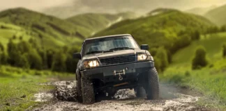 Viabilità silvopastorale: il Consiglio Veneto approva modifiche alla legge tra sostenitori e critiche viabilità silvopastorale Veneto