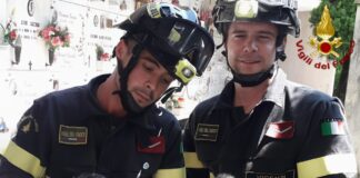 Vicenza, intervento al Cimitero Maggiore: Vigili del fuoco salvano due gattini gattini salvati Vicenza