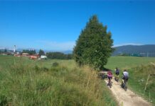 Naturalmente a Roana: natura, benessere e cultura sull’Altopiano di Asiago naturalmente roana