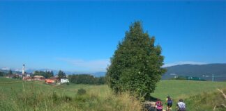 Naturalmente a Roana: natura, benessere e cultura sull’Altopiano di Asiago naturalmente roana