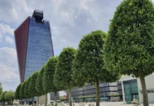 Federazione Veneta BCC: 60 anni di cooperazione e un convegno sul “senso di comunità” Federazione Veneta BCC