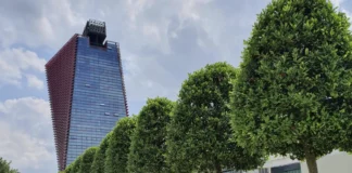 Federazione Veneta BCC: 60 anni di cooperazione e un convegno sul “senso di comunità” Federazione Veneta BCC