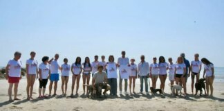 Al Lido di Venezia la prima spiaggia dedicata ai cani