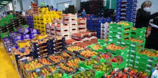 Agroalimentare, nel primo trimestre cresce la performance economica: +0,7% rispetto al 2024