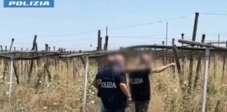Maxi operazione contro l’immigrazione clandestina in 23 province