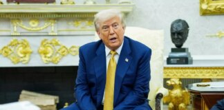 Trump e il toro Maga scatenato per Epstein