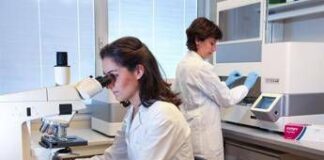 Al Campus Bio‑Medico un dirigente su due è donna: il nuovo Piano di Uguaglianza di Genere