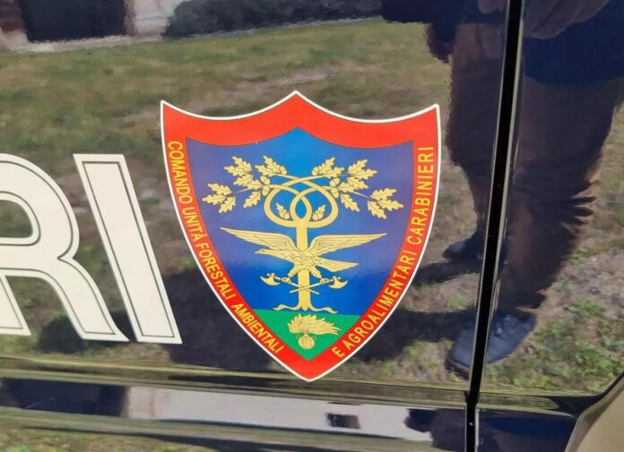 Carabinieri-1