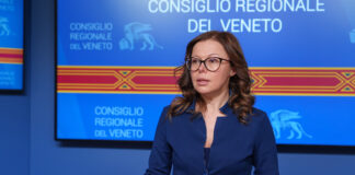 Impianto rifiuti Silva a Montecchio Precalcino: Luisetto (Pd) richiama la Provincia a intervenire per bloccare il progetto Chiara Luisetto, consigliere regionale (PD) del Veneto Impianto Silva