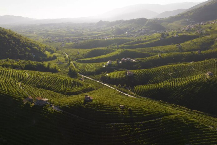 Colline-del-Prosecco
