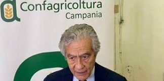 Dazi, Marzano (Confagricoltura Campania): “Più a rischio produzioni meno strutturate”
