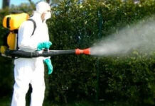 Barbarano Vicentino, caso di Dengue: isolamento domiciliare per paziente. Ulss 8 avvia trattamenti anti-zanzare in aree a rischio dengue a schio partita la disinfestazione trissino