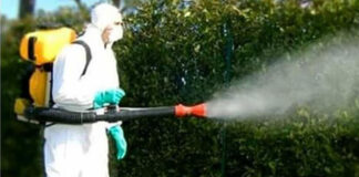 Dengue a Schio, scatta la disinfestazione straordinaria. Il sindaco Marigo: “Misura necessaria, chiedo ai cittadini di collaborare” dengue a schio partita la disinfestazione trissino