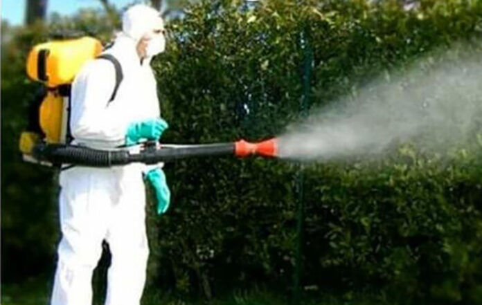 dengue a schio partita la disinfestazione