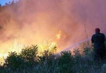 Disastri naturali, nel 2025 danni per 224 mld di dollari